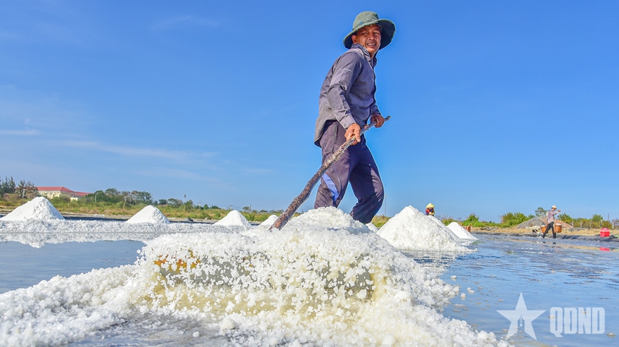 Gallery - 	Mùa muối ở xã Cần Giờ - image 1